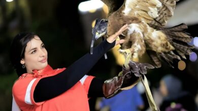وفاة بلوغر مصرية بعد سقوط مروع في حادث غامض