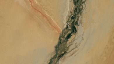 يشكل النهر المليء بالأحجار الكريمة والسلسلة الجبلية المخططة حرف “Y” الضخم في صحراء الصين المُعاد تنشيطها الأرض من الفضاء